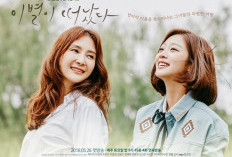 Drama Korea Goodbye to Goodbye: Kisah Memilukan Dua Orang Ibu