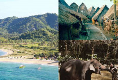 Yuk Kunjungi Tempat Wisata di Lombok, Untuk Liburan Bareng Besti!