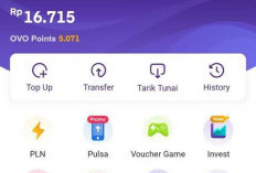 Menakjubkan, Nih 5 Rekomendasi Aplikasi Penghasil Saldo DANA dan OVO di Tahun 2025