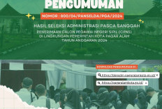 PENGUMUMAN CPNS