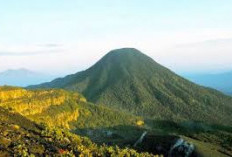 Pendakian Menantang di Gunung Cikuray: Tips dan Trik untuk Mencapai Puncak