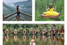 Healing Sejenak! Ini 8 Destinasi Wisata Bandung banyak Diminati Wisatawan, Punya Spot Foto Instagramable Lhoo