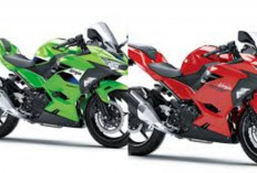 Kawasaki Ninja 250 Terbaru 2026 Resmi Hadir, Desain Makin Agresif, Performa Naik dan Fitur Semakin Canggih!