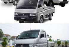 Suzuki Carry 2026: Intip Spesifikasi dan Harga Generasi Lawas hingga New Carry Rajanya Pikap!