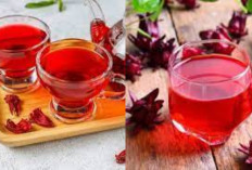  Catat! Ini Beragam Manfaat Teh Rosella Untuk Kesehatan Tubuh Yang Luar Biasa