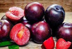 Apakah Buah Plum Baik Untuk Kesehatan? 5 Menu Sehat Resep-Resep Kreatif Yang Harus Dicoba!