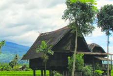 Mengenal Lebih dalam Ghumah Baghi