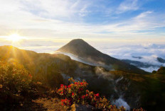 Wow Keren Bangett,Inilah Pemandangan Gunung Gede Pangrango Di Jawa Barat Yang Cantik Nan Indah