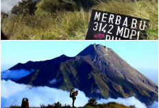 Gunung Merbabu. Menjelajahi dan Menikmati Pesona Alam Serta Kisah Misterius yang Ada di Dalamnya