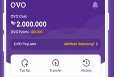 VIRAL! Saldo OVO Rp955.000 Bisa Kamu Dapat Hari Ini, Cuma Main Game Ini!