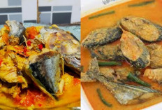 Mencicipi Kelezatan Ikan Pindang Tongkol Bumbu Kuning Menggugah Selera!