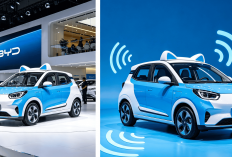  BYD Racco Tiba-tiba Muncul di Instagram BYD Indonesia: Sinyal Segera Dijual?