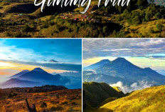 Fakta Menarik Gunung Prau Dieng Wonosobo. Ini Uraiannya yang Kamu Harus Tau!