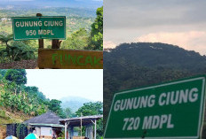 Petualangan Akhir Pekan di Gunung Ciung Alam, Kedamaian, dan Keindahan!