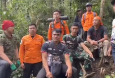 Pendaki Resahkan Jalur Dempo Berhasil Dievakuasi