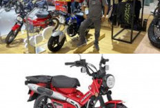 Jangan Sampai Kehabisan! Warna Baru Honda Dax ST125 2026 Resmi Rilis, Intip Pesonanya yang Menggoda