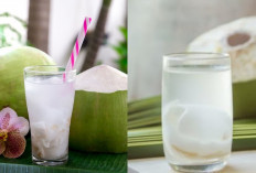 Resep Es Kelapa Muda yang Segar, untuk Menu Berbuka Puasa?