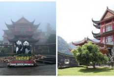 Sejuknya Kabut Pegunungan, Lucunya Panda! Wisata Istana Panda di Taman Safari Bogor