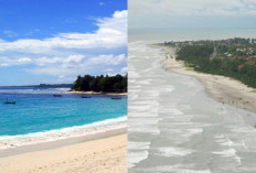 Pantai Pasir Putih Bengkulu, Spot Terbaik Menikmati Liburan 2025!