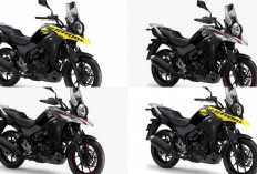 Harga Terbaru Suzuki V-Strom 250 Juli 2026 Resmi Terungkap, Segini Biaya yang Harus Disiapkan Sebelum Membeli!