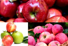 5 Manfaat Buah Apel dan Ide Penyajiannya
