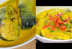 Resep Sup Ikan Patin Kuah Kuning, Enak Bikin Nambah Nasi?
