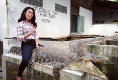 Taman Buaya Asam Kumbang: Yang Awalnya Hobby Sekarang Meraup Pundi-Pundi Keuntungan