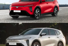 Skema Harga VinFast Limo Green 2026, Solusi Cerdas MPV Listrik Murah untuk Bisnis! 