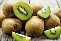 Kaya Akan Vitamin C, Inilah 5 Manfaat Buah Kiwi Untuk Sistem Kekebalan Tubuh
