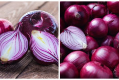 Manfaat Bawang Merah yang Baik untuk Kesehatan Tubuh, Jarang Diketahui!