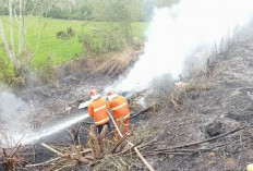 Tingkatkan Pengawasan dan Edukasi Bahaya Karhutla