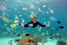 Pulau Rubiah: Keindahan Panorama Alam Bawah Laut Yang Memukau