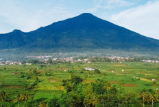 Meraih Puncak Tertinggi Jawa Barat: Tips dan Jalur Pendakian Gunung Ciremai, Ini Penjelasanya!