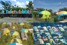 Rekomendasi Desa Wisata Rumah Domes,Dengan Sensasi Unik Ala Teletubbies di Yogyakarta! 