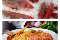 5 Manfaat Mengejutkan Ikan Kakap untuk Tubuh, Sumber Mineral yang Sering Diabaikan