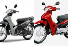 Review Honda Supra Fit 2026: Apakah Masih Menjadi Pilihan Terbaik di Kelas Motor Bebek!