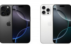 Resmi! Daftar Harga iPhone 16 Terbaru Maret 2026 Turun Drastis di iBox dan Digimap!