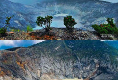 Gunung-Gunung Terendah di Indonesia, Destinasi Ideal untuk Pendaki Pemula!