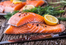 Penuh Zat Besi 5 Manfaat Ikan Salmon Untuk Pemeliharaan Sel Darah Merah