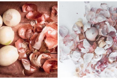 5 Manfaat Kulit Bawang untuk Kesehatan, Jarang Diketahui!
