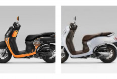 Gak Sampai 20 Juta? Intip Harga Pasaran Honda Scoopy 2022 Keyless Bekas di Akhir Maret 2026!
