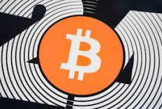 Peran Regulasi dalam Menentukan Harga Bitcoin