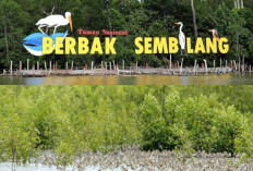  Flora dan Fauna Taman Nasional Sembilang, Keberagaman Ekosistem di Sumatera Selatan