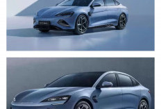 Sudah Coba BYD Seal? Ini 5 Hal yang Membuatnya Terasa Lebih Premium dari Ekspektasi Anda!