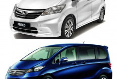 Honda Freed, MPV Kompak Legendaris yang Masih Diburu di Pasar Mobil Bekas
