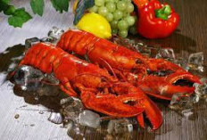 Kuliner Laut Yang Bergizi, Ini Dia 5 Kelezatan Mewah Menikmati Lobster Sebagai Kuliner Istimewa