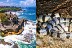 Wow Seram, Menguak Fakta di Balik Misteri Tanah Lot Bali yang Bikin Merinding!