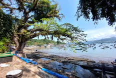 Keindahan Alam yang Menawan Pantai Popoh, Rekomendasi Liburan Bersama Keluarga 