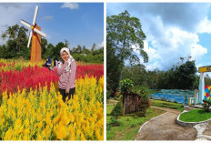 Bunga, Damai, dan Kuliner! Pengalaman Tak Terlupakan di Taman Bunga Baturaja