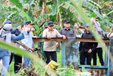 Kunci Peningkatan Produksi Padi Nasional